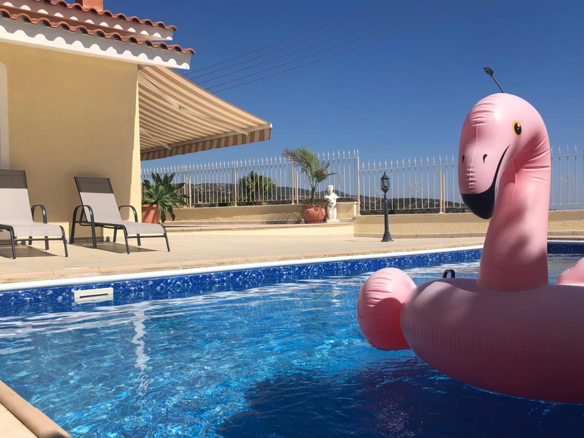 Peyia Palm Villa パ フォス エクステリア 写真